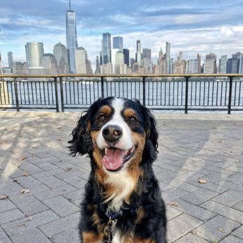 Waterfront Pups - Pet Sitting Near Me - Jersey City, New Jersey Waterfront Pups - Pet Sitting Near Me - Jersey City, New Jersey