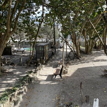 Seaside Seabird Sanctuary - Animal Shelters Near Me - Indian Shores, Florida Seaside Seabird Sanctuary - Animal Shelters Near Me - Indian Shores, Florida