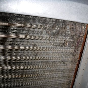 Zumbro Home Inspection - Home Inspectors Near Me - Clarksville, Tennessee Zumbro Home Inspection - Home Inspectors Near Me - Clarksville, Tennessee
