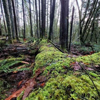 Lime Kiln Trail - Hiking Near Me Lime Kiln Trail - Hiking Near Me