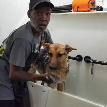 Self Serve Pet Spa - Pet Groomers Near Me - Bakersfield, California