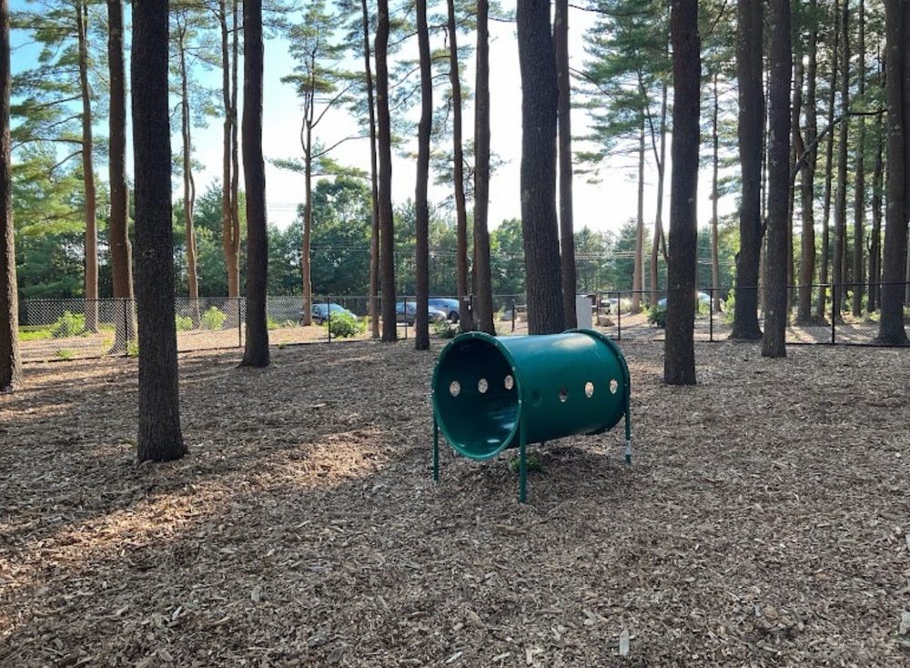 NORTH ATTLRBORO DOG PARK AND HIKING TRAILS Updated May 2024 180