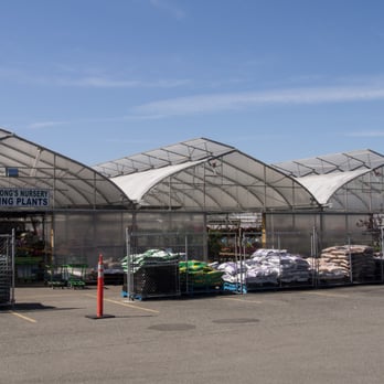 Wing Wong's Nursery - Nurseries & Gardening Near Me - Burnaby, British Columbia