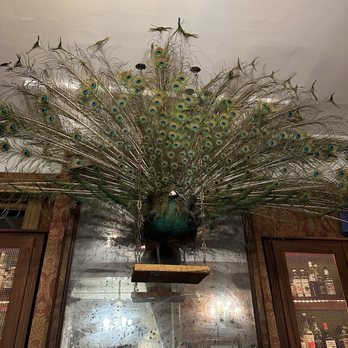 The Gilded Perch - Cocktail Bars Near Me - New Orleans, Louisiana The Gilded Perch - Cocktail Bars Near Me - New Orleans, Louisiana