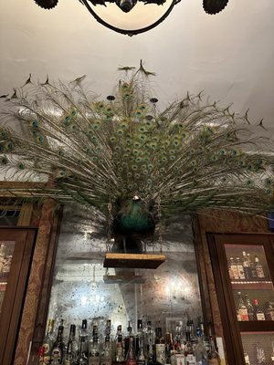 The Gilded Perch by null