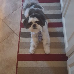 Riley's grooming job Riley's grooming job
