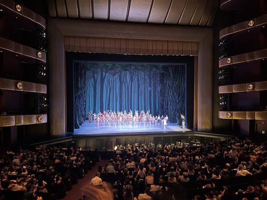 David H. Koch Theater by null