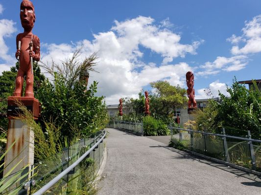 Te Puia - Rotorua, NZ by null