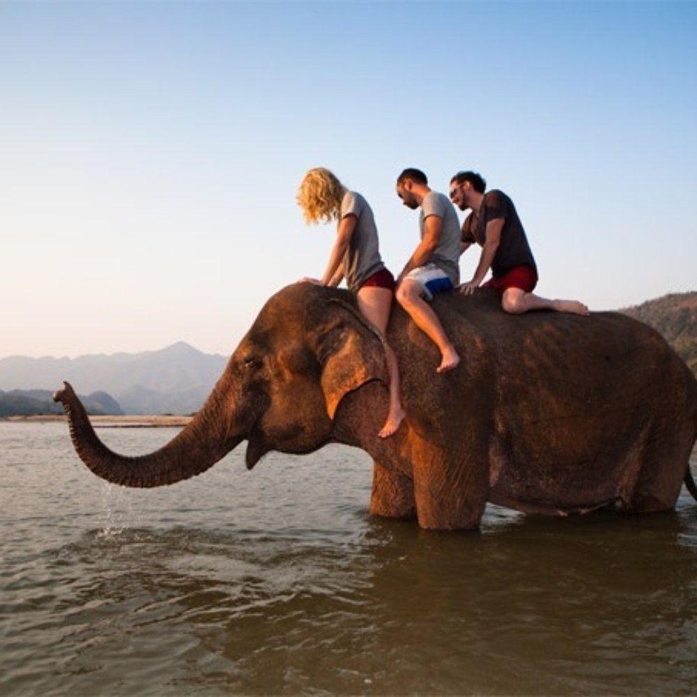 Asian Travel Agency Service