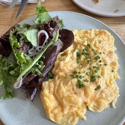 Egg Plate Egg Plate