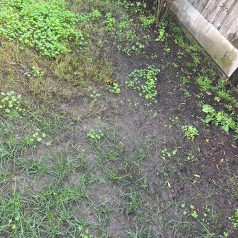 SimpleScape Lawn & Garden Maintenance - Masonry/Concrete Near Me SimpleScape Lawn & Garden Maintenance - Masonry/Concrete Near Me