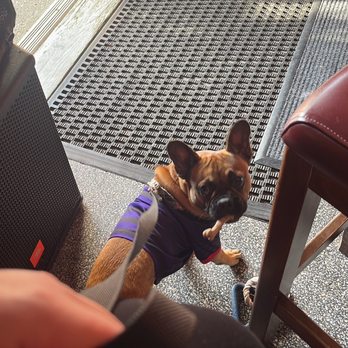 The Highbury - Dog friendly indoors! - Pubs Near Me - Milwaukee, Wisconsin The Highbury - Dog friendly indoors! - Pubs Near Me - Milwaukee, Wisconsin