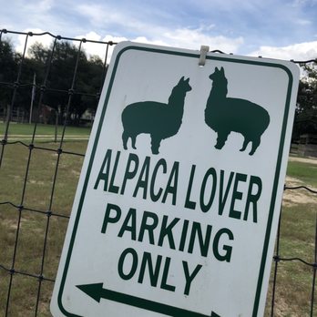 LunaSea Alpaca Farm - Attraction Farms Near Me - Clermont, Florida LunaSea Alpaca Farm - Attraction Farms Near Me - Clermont, Florida