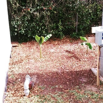 Osofla Fencing and Landscaping - Before - Tree Services Near Me Osofla Fencing and Landscaping - Before - Tree Services Near Me