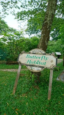 Bishan-Ang Mo Kio Park by null