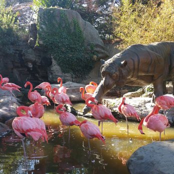 Central Coast Zoo - Zoos Near Me - Atascadero, California Central Coast Zoo - Zoos Near Me - Atascadero, California