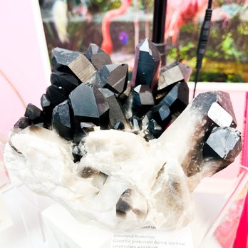 The Crystal Garden - Brand New Smoky Quartz cluster - Bookstores Near Me - Boynton Beach, Florida The Crystal Garden - Brand New Smoky Quartz cluster - Bookstores Near Me - Boynton Beach, Florida