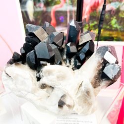 Brand New Smoky Quartz cluster