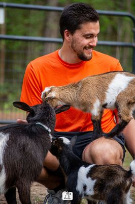 Charleston Adventure Forest by null