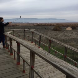 Tablas de Daimiel