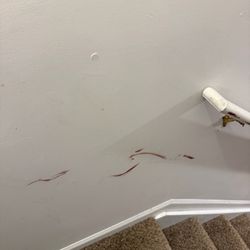 Macomb Movers - Down to drywall all the way down stairs, removed the handrail after it was wedged.