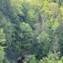 Photo of Chautauqua Gorge State Forest