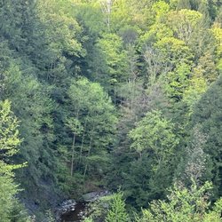Chautauqua Gorge State Forest