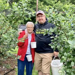 Bartlett's Blueberry Farm - In the field picking, look at all those berries!