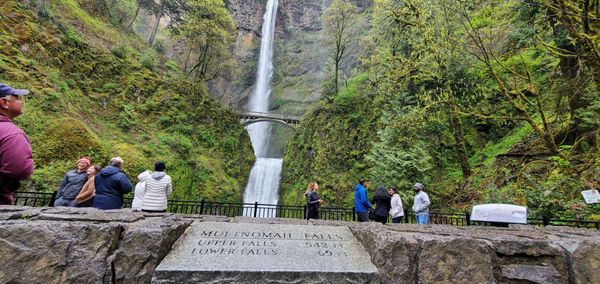 Multnomah Falls Lodge by null