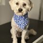 Photo of Cali dog spa grooming