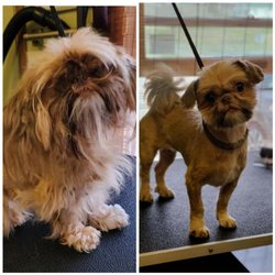 Harmony Acres - Before and After grooms