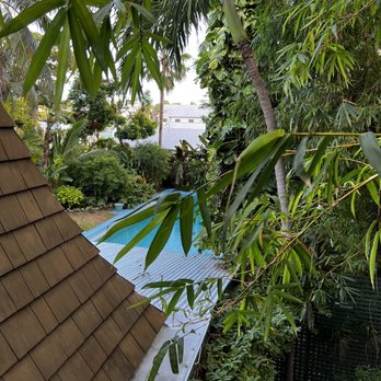Ernest Hemingway Home  - Museums Near Me - Key West, Florida