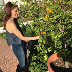 Gina's Intuitive Healing