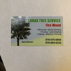 Lorax Tree Service
