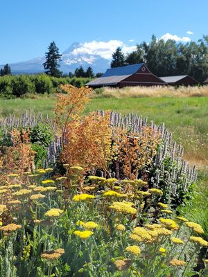 Solera Brewery by null