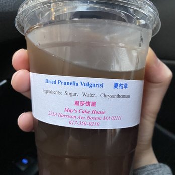 May's Cake House - Chrysanthemum/herbal drink - Bakeries Near Me - Boston, Massachusetts