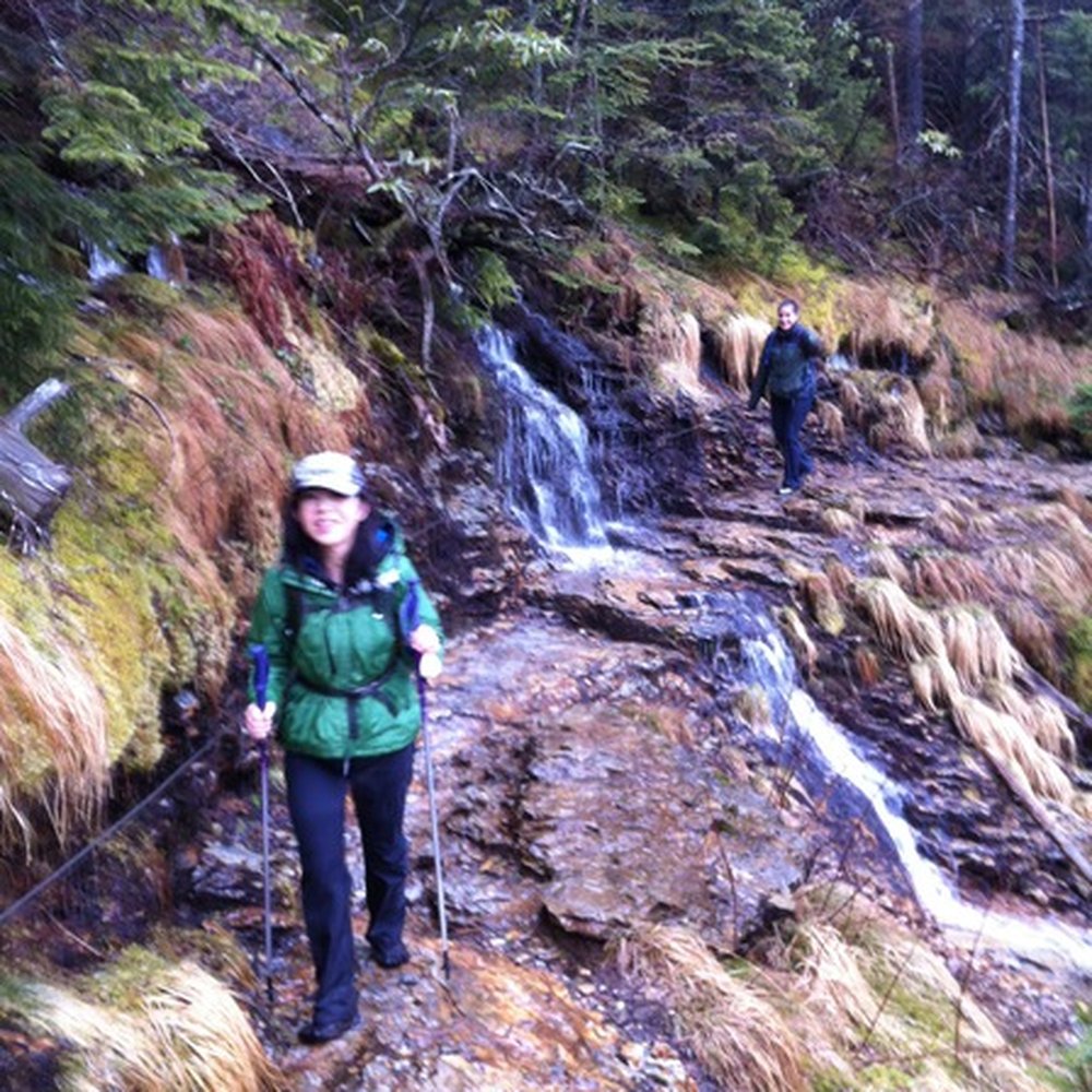 Mount LeConte - Safety cable on the left and a little waterfall in the middle of the trail. - Hiking Near Me