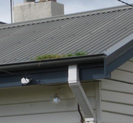 Slide of DNA Roofing