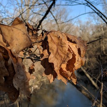 Dynamite Park - Parks Near Me - Wayne, Michigan