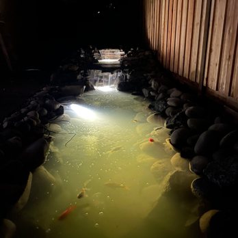 Tender Earth Yard Care - a pond with a waterfall - Lawn Services Near Me - Eugene, Oregon