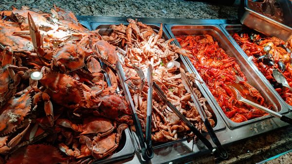 Feast Buffet by null