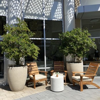 Boba Bliss - Outdoor seating - Bubble Tea Near Me - Mountain View, California
