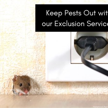 Hometown Pest Control - We take care of rodents, mice and other pests. - Pest Control Near Me Hometown Pest Control - We take care of rodents, mice and other pests. - Pest Control Near Me