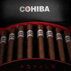 Mr. Smoke Cigars, Vapes and CBD world 