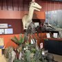 Photo of The Alaska Museum of Science & Nature