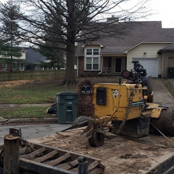 Lexington Tree Service - Tree Services Near Me - Lexington, Kentucky Lexington Tree Service - Tree Services Near Me - Lexington, Kentucky