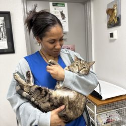 Gateway Animal Hospital