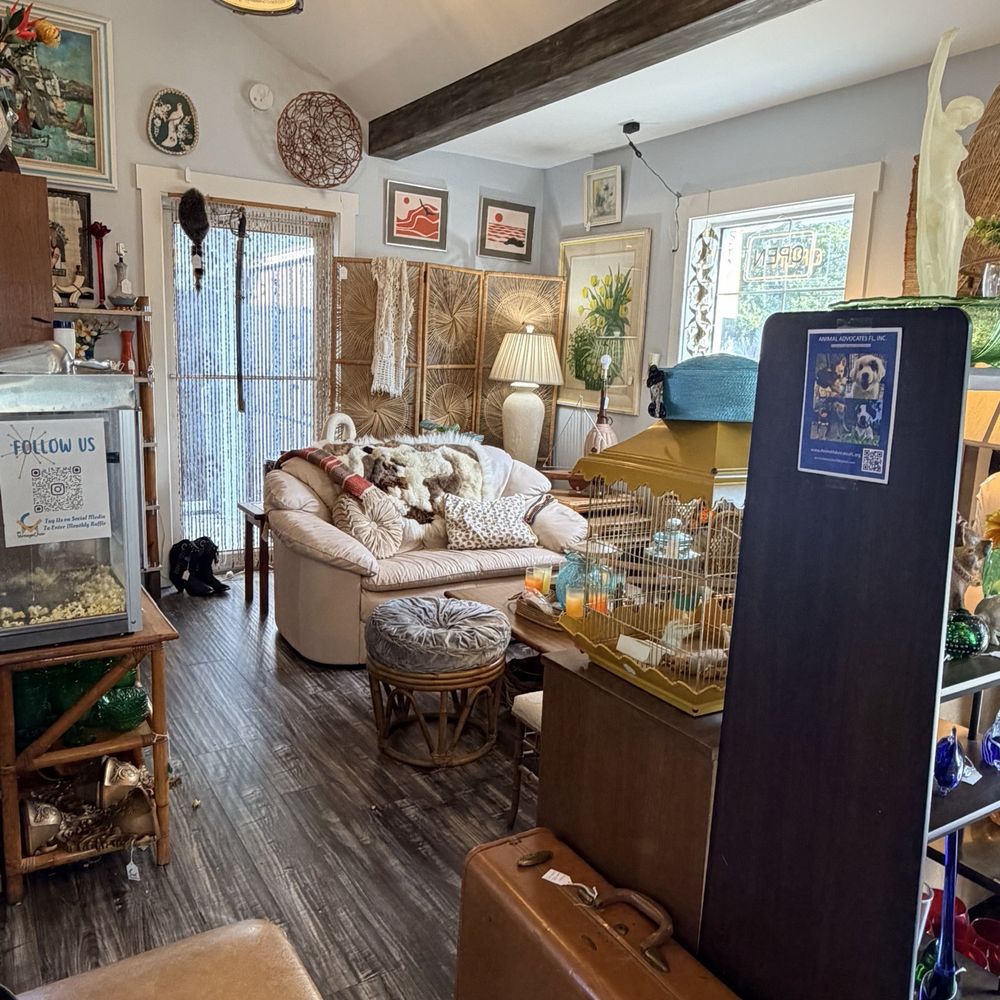 The Vintage Chair - Right room - Home Decor Near Me - Orlando, Florida The Vintage Chair - Right room - Home Decor Near Me - Orlando, Florida
