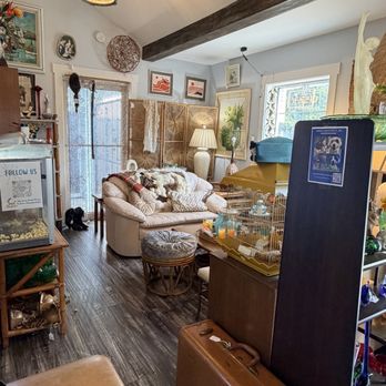 The Vintage Chair - Right room - Home Decor Near Me - Orlando, Florida The Vintage Chair - Right room - Home Decor Near Me - Orlando, Florida
