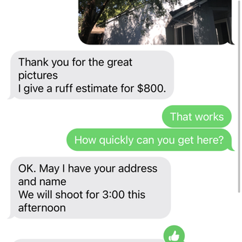 American Arbor Tree Care - Estimated Quote of $800 from American Tree Service and appointment time at 3pm - Tree Services Near Me American Arbor Tree Care - Estimated Quote of $800 from American Tree Service and appointment time at 3pm - Tree Services Near Me